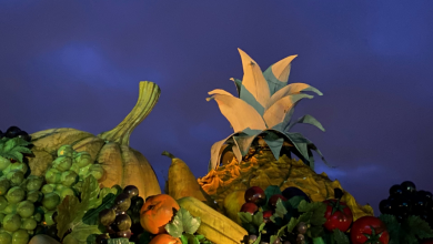 fruits gaspillage alimentaire