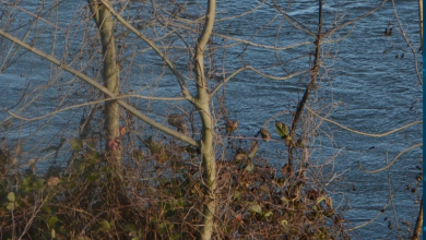 Loire