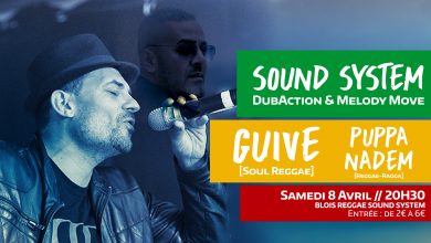 blois reggae sound system