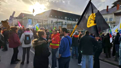 Les Cocos du Blaisois