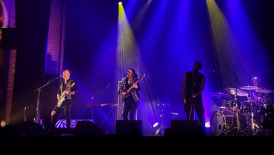 Ida Nielsen and the funkbots