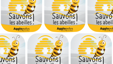 sauvons les abeilles