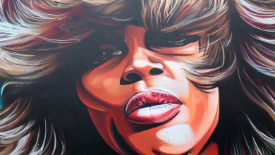 fresque Tina Turner