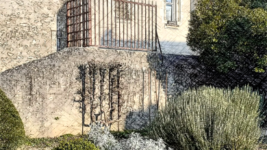 jardin plantes médicinales