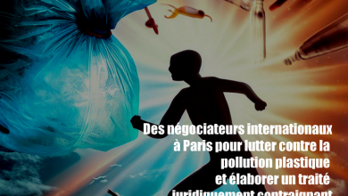 plastique actualité