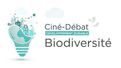 Ciné-débat développement durable sur le thème de la biodiversité