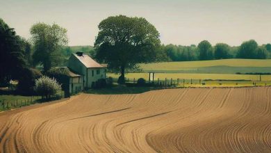 Plan « France Ruralités »