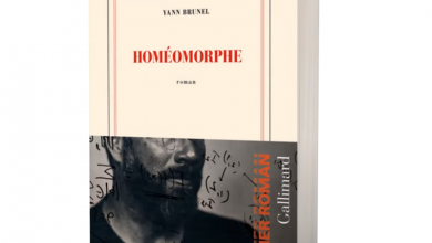 Yann Brunel Homéomorphe