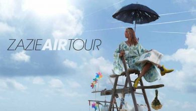 Zazie-en-Concert-a-Blois