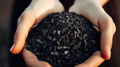 biochar