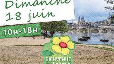 marché estival fermier