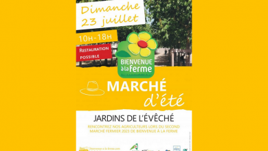 Marché fermier d'été à Blois