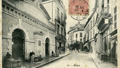 halle au poisson de Blois