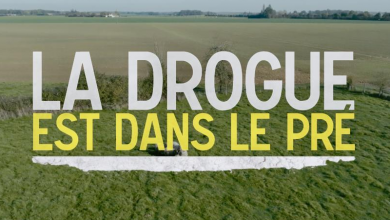 La drogue est dans le pré