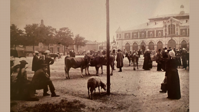 champ de foire