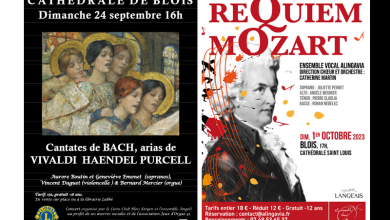 concerts cathédrale de Blois