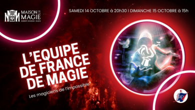 équipe de France de magie