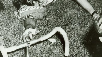 merckx blois
