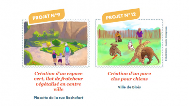 projets budget participatif Blois 2023