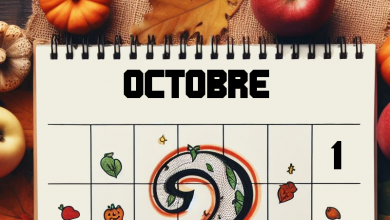1ER OCTOBRE