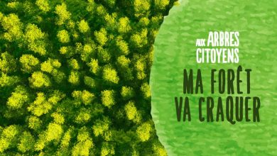 Documentaire Ma forêt va craquer