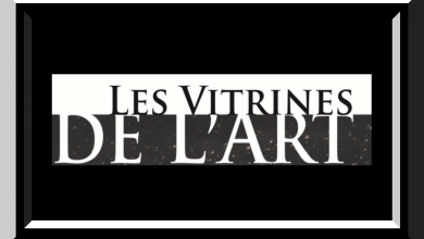 vitrines de l'art