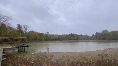 Lac de la Pinçonnière