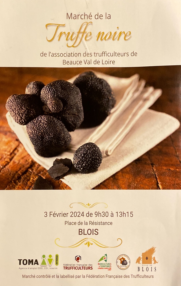 Tout savoir sur la truffe avant le premier marché dédié à Blois