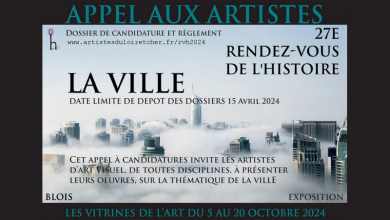 vitrines de l art 2024 Blois
