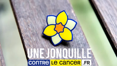 une jonquille contre le cancer 2024