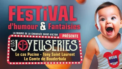 Joyeuseries