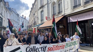 manif gaza