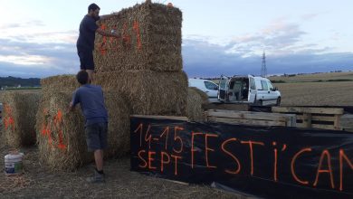festi41