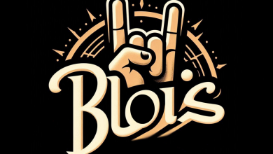 Blois rock
