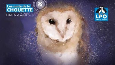 nuit de la chouette loir et cher