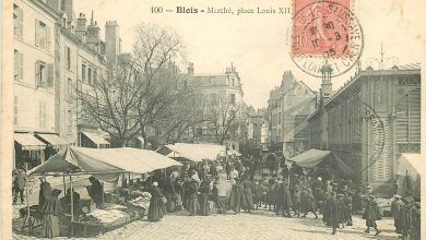 Marché Place Louis XII en 1905