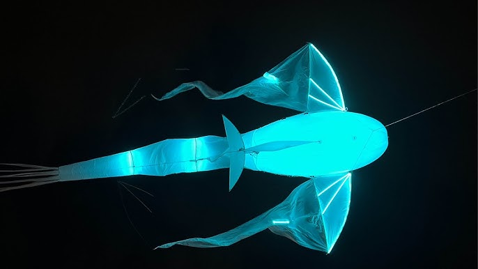 lumineoles