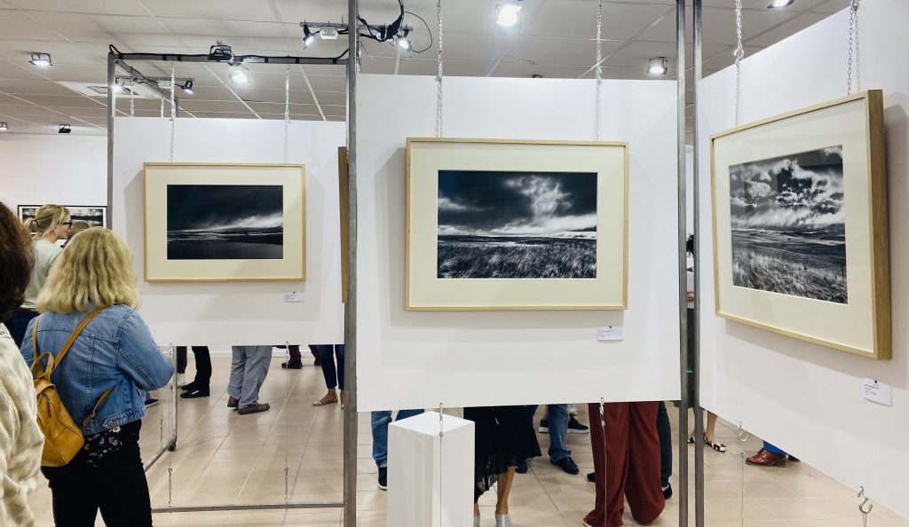 Galerie Wilson