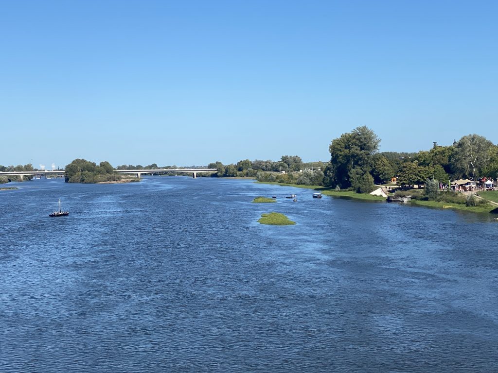 Grande Remontée à Blois