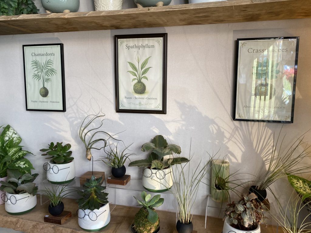 Danses avec les fleurs