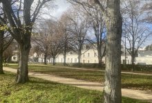 Quand la ville verdit