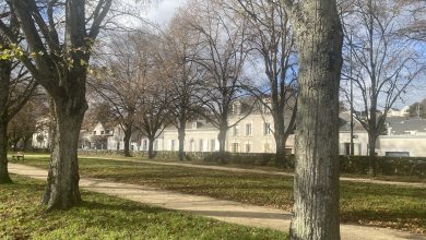 Quand la ville verdit