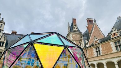 château royal de Blois