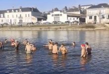 Trempette du ragondin