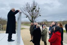 passerelle sur la Loire