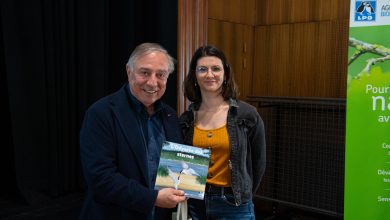 Manon Leduc et L’Odyssée des sternes