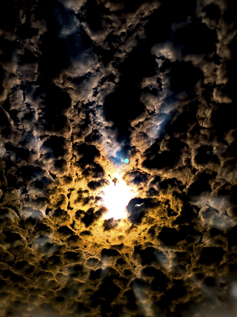 photographie d’Éric Diot