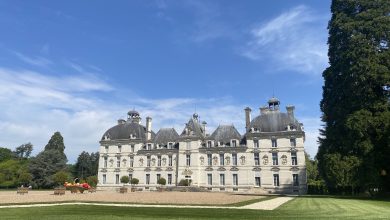 France Château de Cheverny