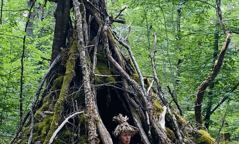 Nuits des Forêts