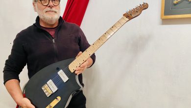 luthier à Blois